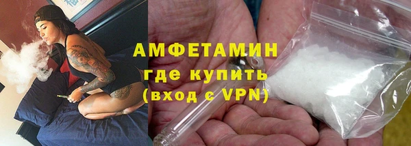 гидра Белокуриха