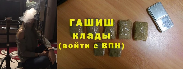 spice Богородицк