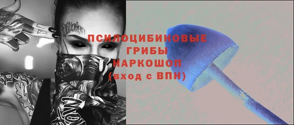 spice Богородицк