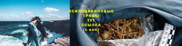 гашиш Богданович