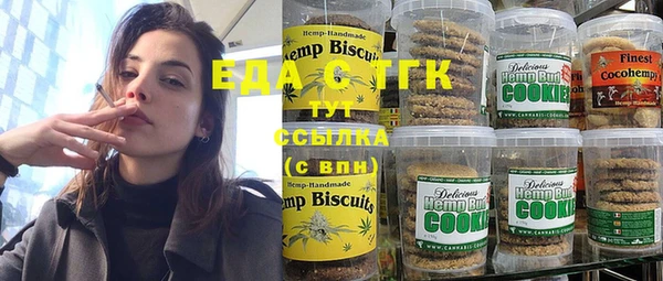 spice Богородицк