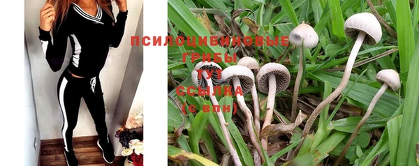 spice Богородицк