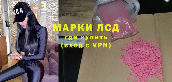 spice Богородицк