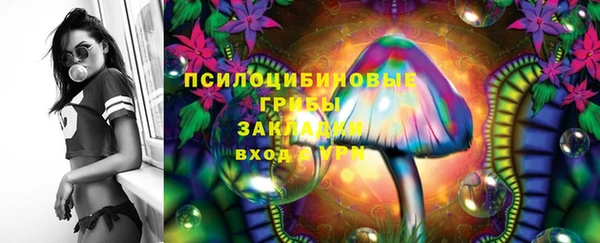 гашиш Богданович