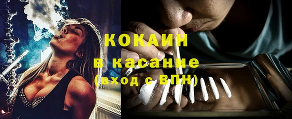 гидра Белокуриха