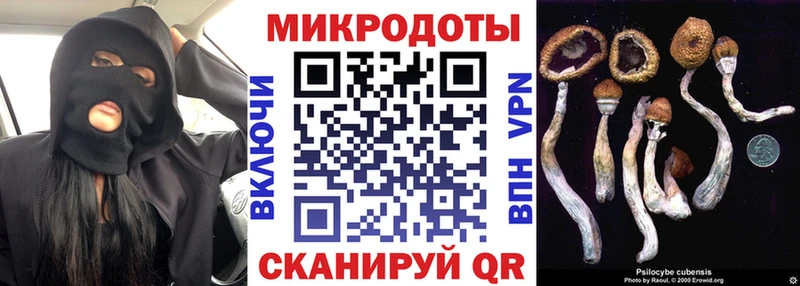 Псилоцибиновые грибы мухоморы  Купить  Венёв 